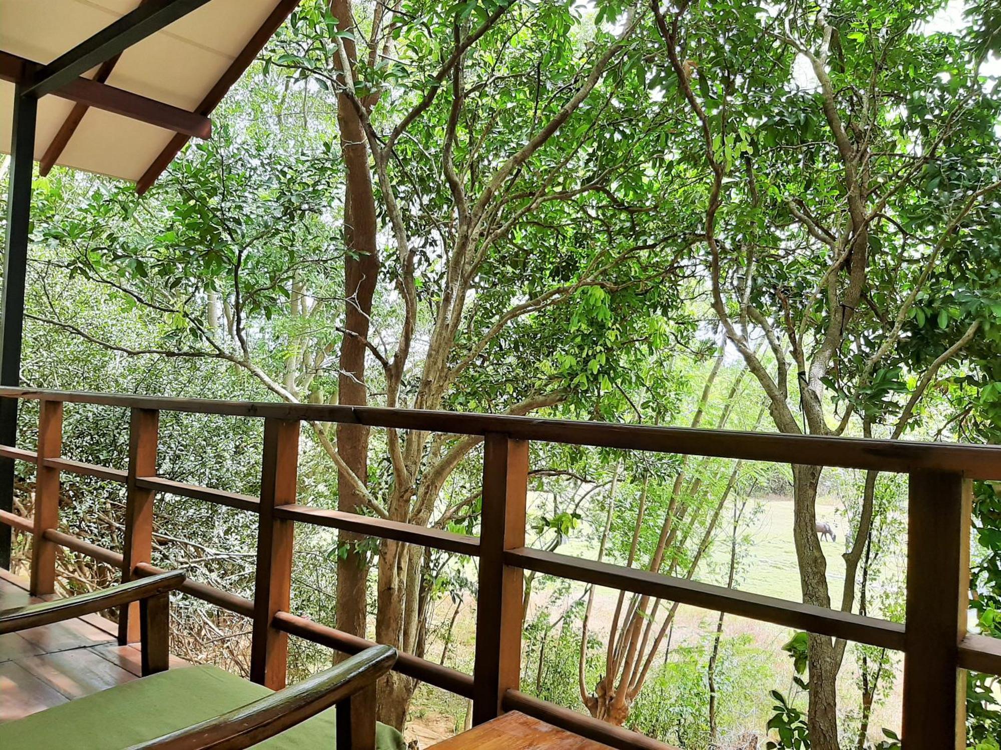 Elephant Lodge Удавалаве Экстерьер фото