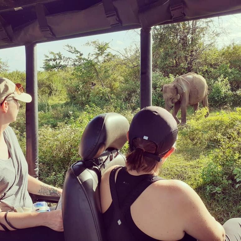 Elephant Lodge Удавалаве Экстерьер фото